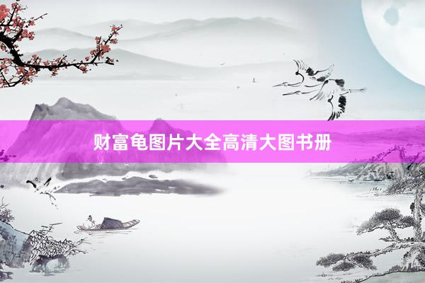 财富龟图片大全高清大图书册