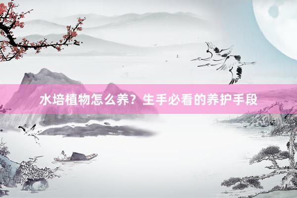 水培植物怎么养?生手必看的养护手段